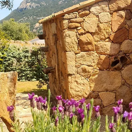 Вилла Gianni Location Palombaggia *